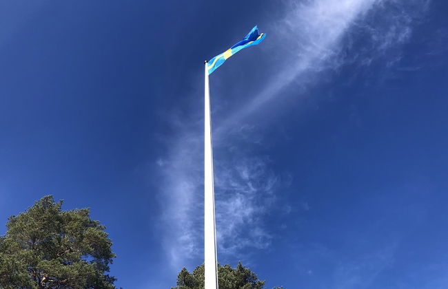 Vildmarks Lodge - Foto 50