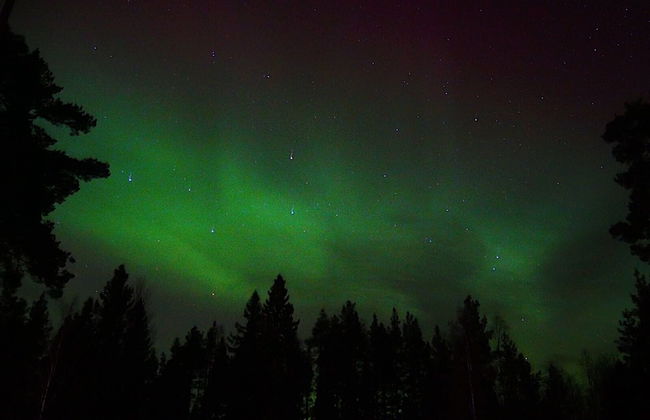 Vildmarks Lodge - Foto 63