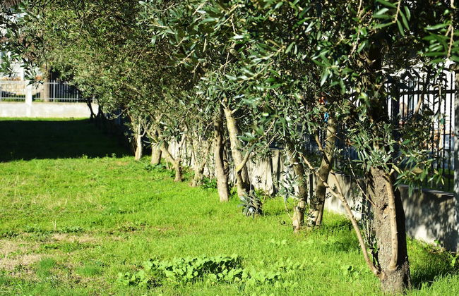 Villa Quince - Foto 56