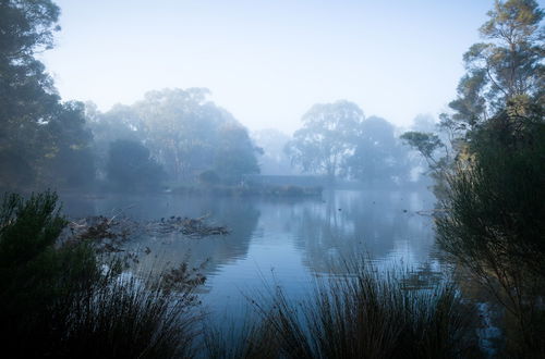 Photo 34 - The Burrow At Wombat Bend