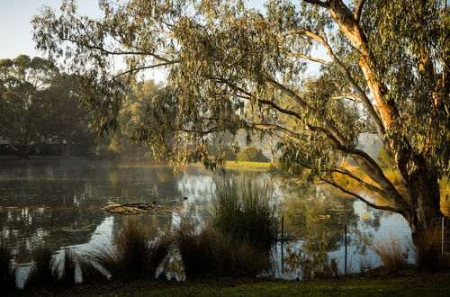 Photo 35 - The Burrow At Wombat Bend