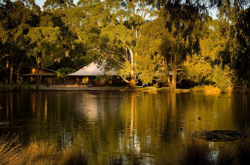 Photo 36 - The Burrow At Wombat Bend