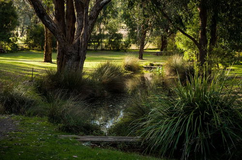 Photo 28 - The Burrow At Wombat Bend