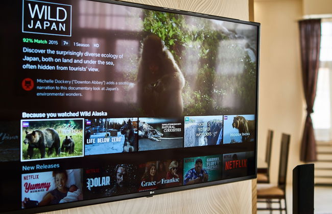 Nikita Apartment - Photo 43