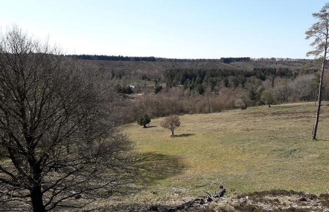 Holiday Home in Silkeborg - Foto 31