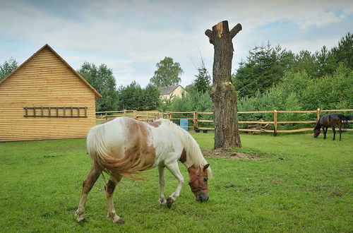 Photo 34 - Cosy Holiday Home in Skrzynia With Terrace