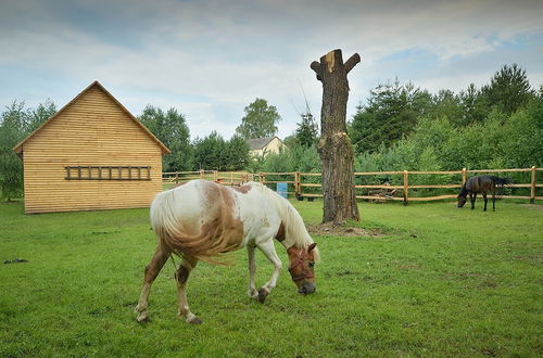 Foto 48 - Cosy Holiday Home in Skrzynia With Terrace