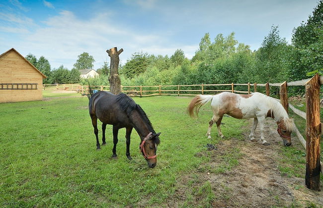 Holiday Home in Skrzynia With Terrace - Foto 35