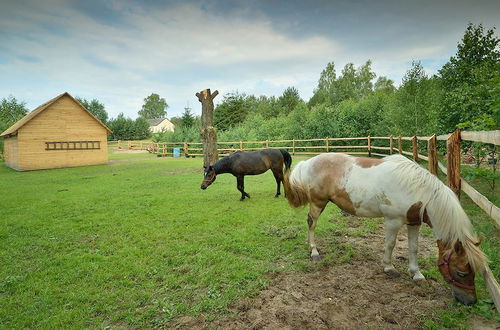 Photo 51 - Cosy Holiday Home in Skrzynia With Terrace