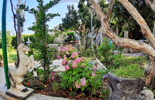 Villa Mimoza Blagaj - Foto 33