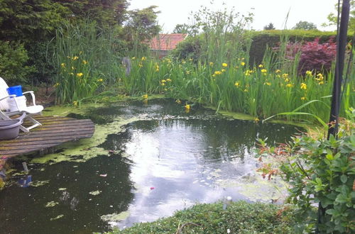 Photo 24 - Dreamy Holiday Home in Sweikhuizen With Swimming Pool, Garden