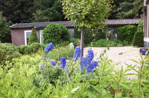 Foto 19 - Comfortable Cottage by the Beach in Egmond aan den Hoef