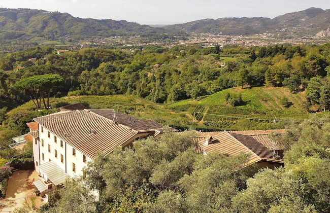Alloro Grillo - Foto 37