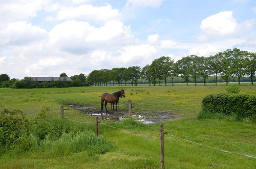 Photo 24 - Holiday Home with Meadow View near Forests