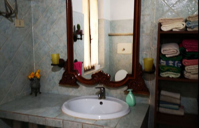 Country House in the Su Gologone Area 30 km From Cala Gonone 5 km From Oliena - Foto 66