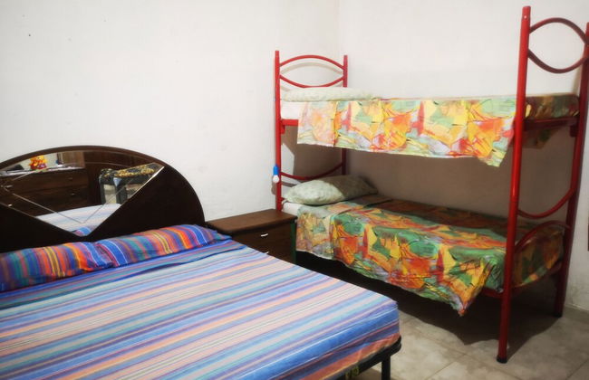 Country House in the Su Gologone Area 30 km From Cala Gonone 5 km From Oliena - Foto 51