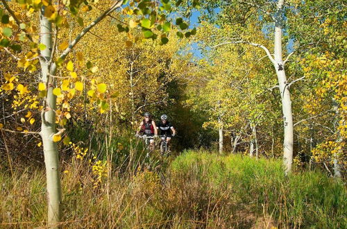 Photo 16 - Beavercreek Resort Access to Vail & Golf