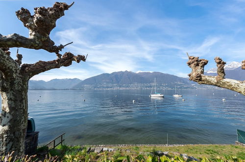 Photo 40 - Garden On The Lake in Gambarogno Vira