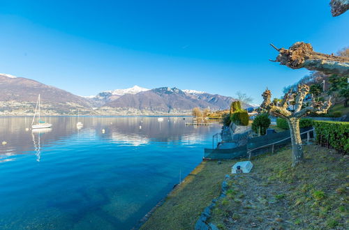 Photo 39 - Garden On The Lake in Gambarogno Vira