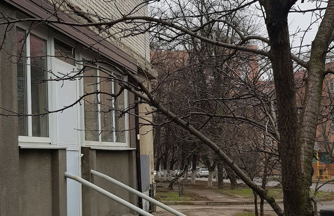 Happy nights in friendly AP - Photo 2