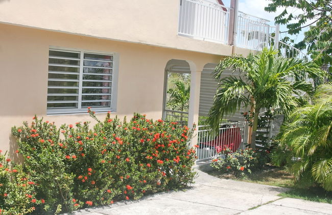 Fanélie Location - Foto 79