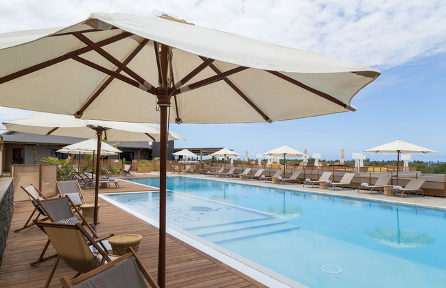 Dina Morgabine - Foto 8