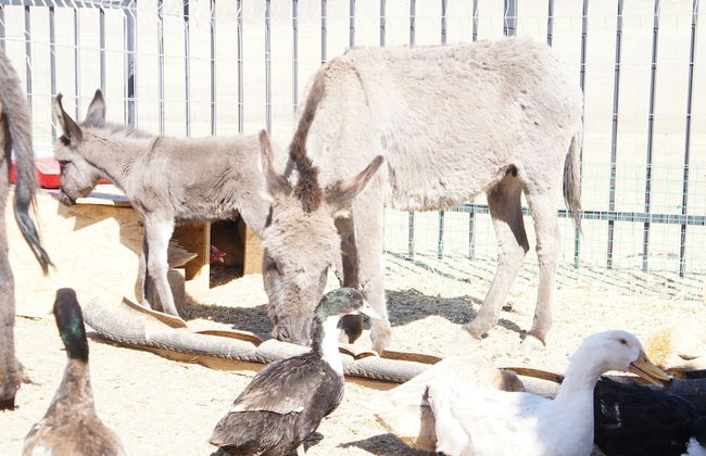 Mandala Bliss Mongolia - Foto 20