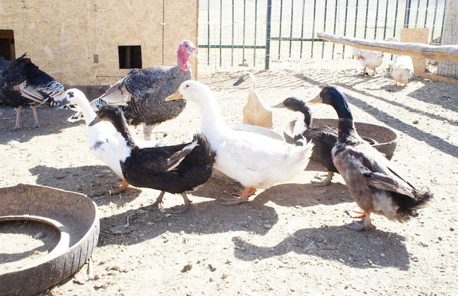 Mandala Bliss Mongolia - Foto 18