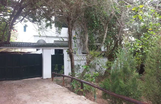 Maison Etoile De Mer 1 - Foto 12
