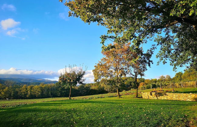 Palazzolo Resort - Anghiari - Foto 25