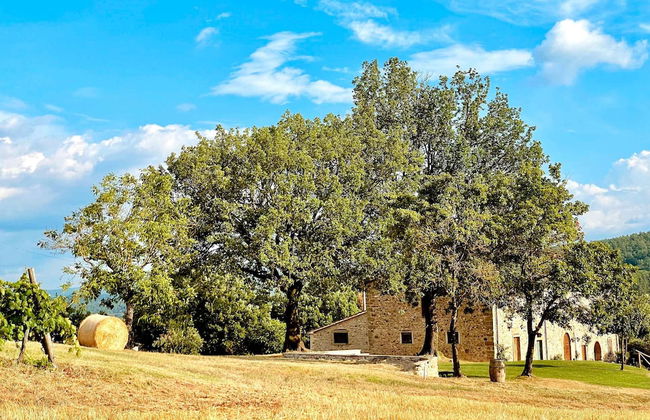Palazzolo Resort - Anghiari - Foto 30