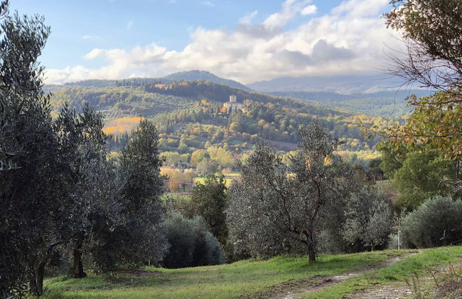 Palazzolo Resort - Anghiari - Foto 16