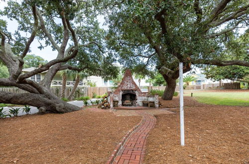 Photo 57 - Tybee Trees