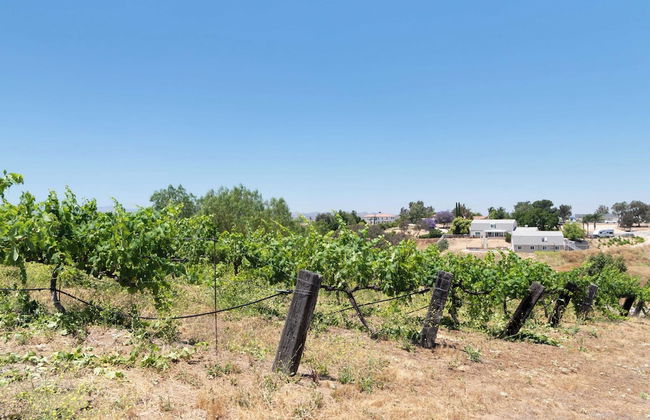 Bear Bridge by Avantstay Hilltop Haven in Temecula w/ Views, Putting Green & Hot Tub - Photo 37