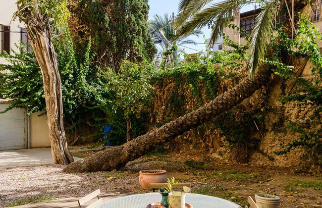 Secret Garden by TLV2RENT - Foto 45