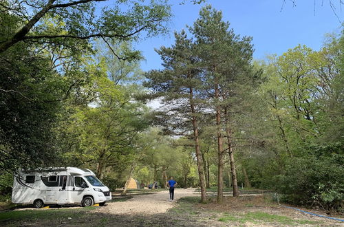 Photo 8 - Nightjar Cabin at Cloudshill Glade