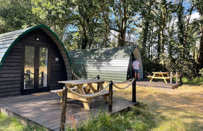 Nightjar Cabin at Cloudshill Glade - Foto 1
