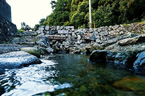 Photo 25 - Japanese old house by the seaside