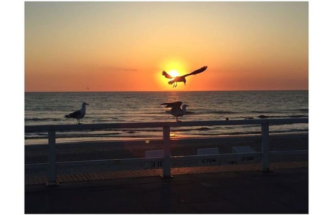 Holiday Home in Renesse - Foto 17