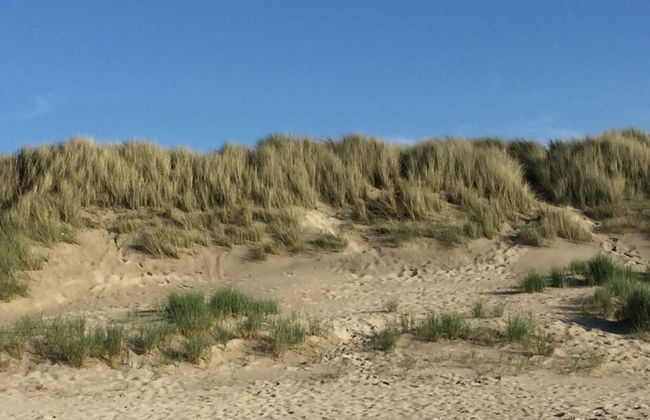 Holiday Home in Renesse - Foto 12