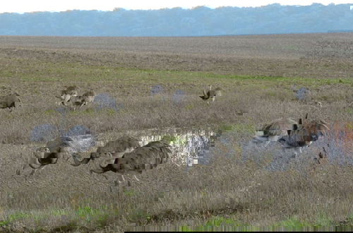 Photo 17 - aan de Pastorie