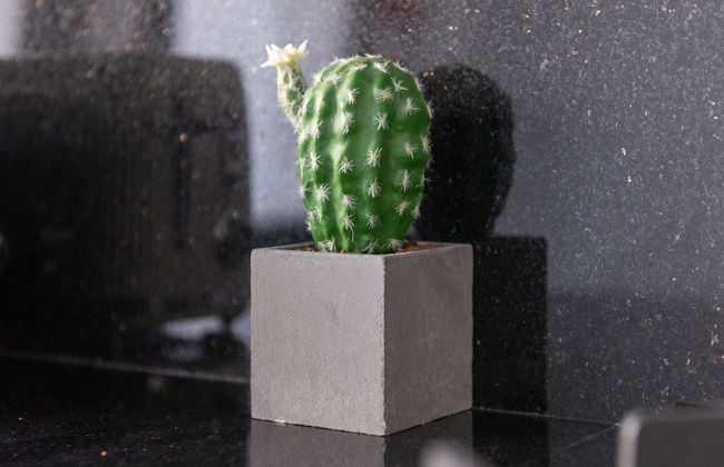 Appartement Luxueux à Draria - Foto 26