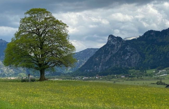 Holiday Home in Oberammergau - Foto 25
