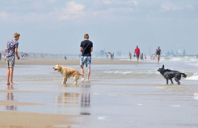 Spacious Villa on the North Sea - Foto 18