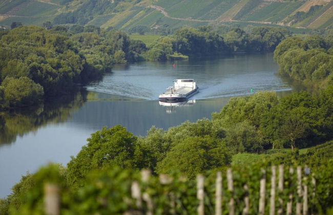 Holiday Home Moselle Valley - Foto 3