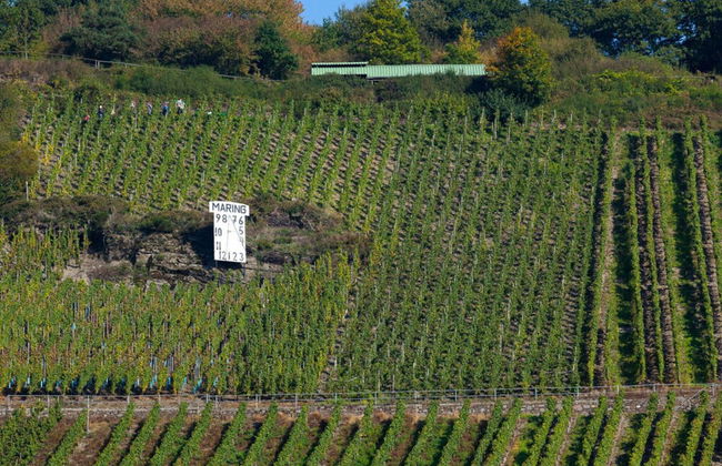 Holiday Home Moselle Valley - Foto 10
