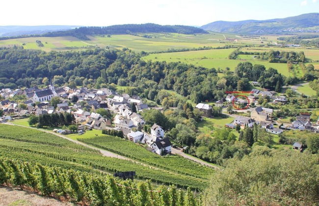 Holiday Home Moselle Valley - Foto 28