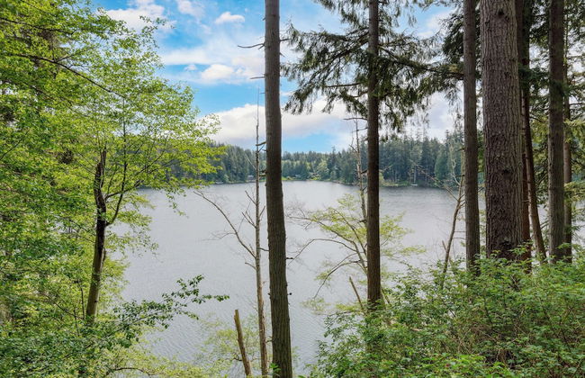 Goss Lake Chalet by Avantstay Lakefront w/ Dock - Foto 39