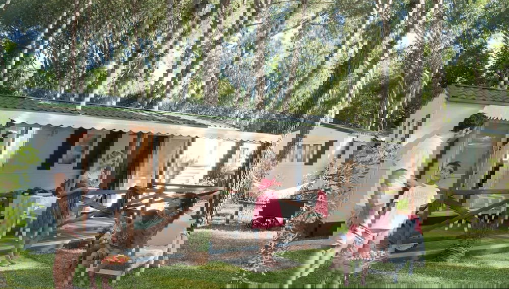 Immagine principale