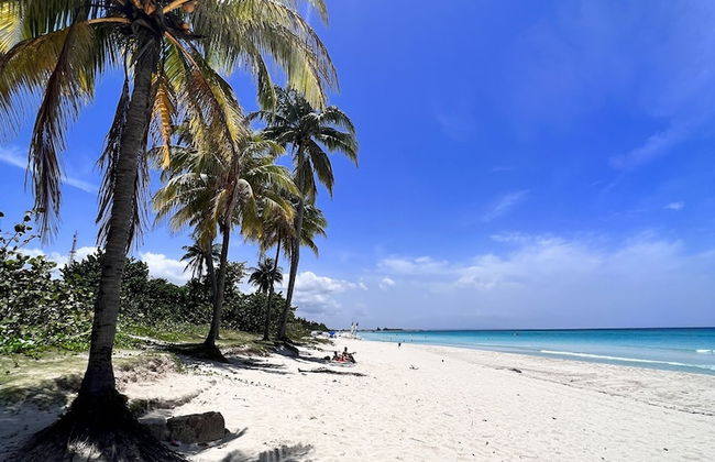 Casa Rosa Mendez - Foto 33